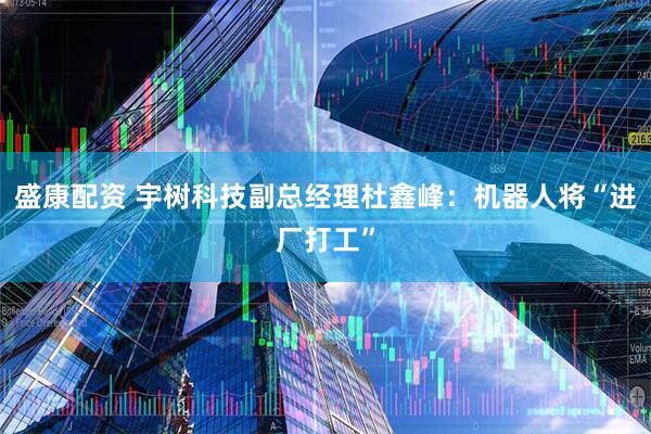 盛康配资 宇树科技副总经理杜鑫峰：机器人将“进厂打工”