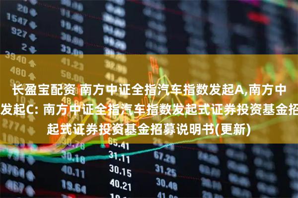 长盈宝配资 南方中证全指汽车指数发起A,南方中证全指汽车指数发起C: 南方中证全指汽车指数发起式证券投资基金招募说明书(更新)