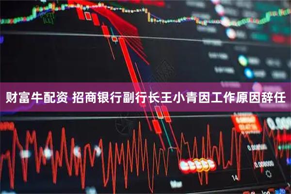 财富牛配资 招商银行副行长王小青因工作原因辞任